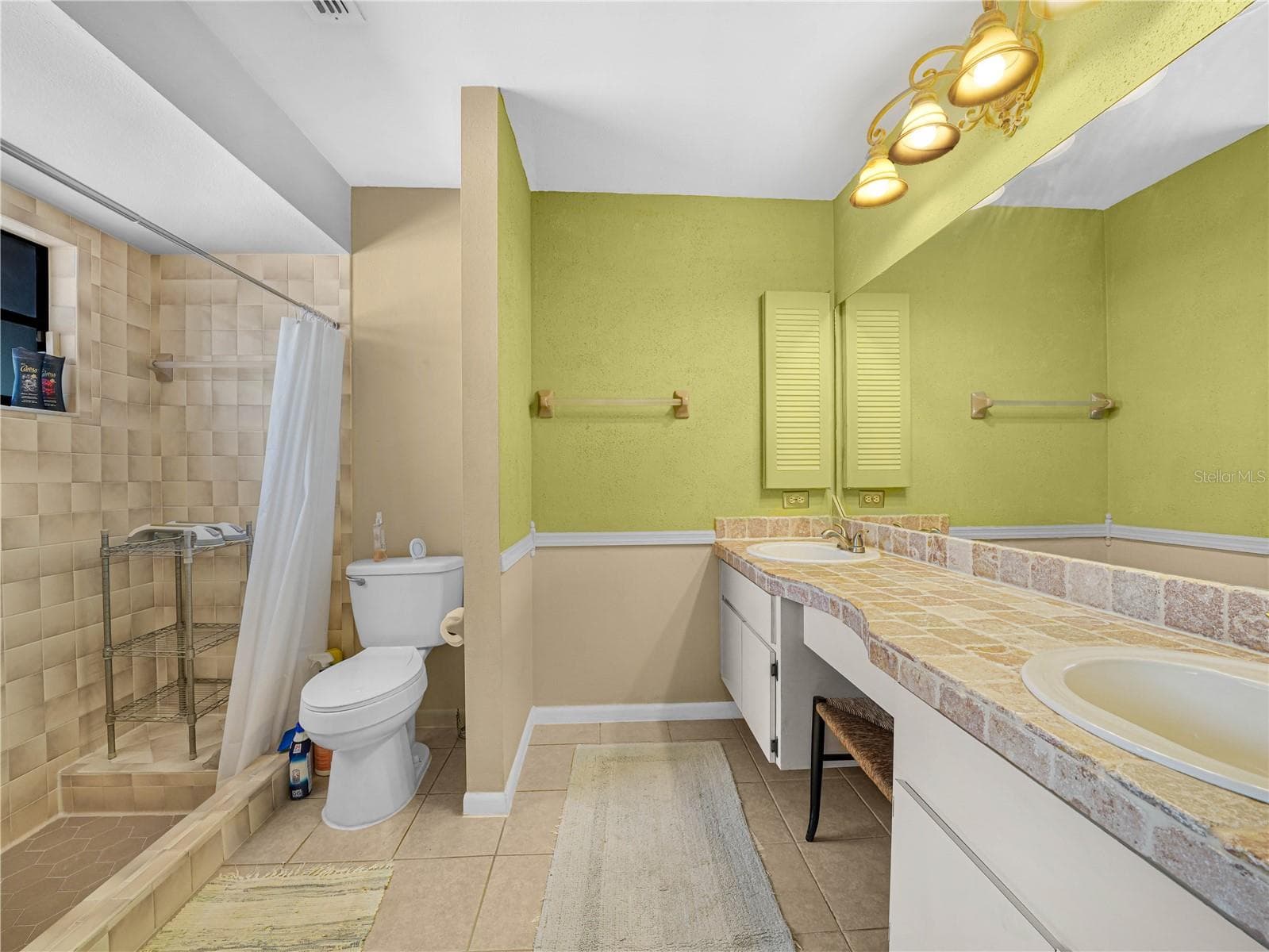 Primary Bath - 812 SANDALWOOD DR, PLANT CITY