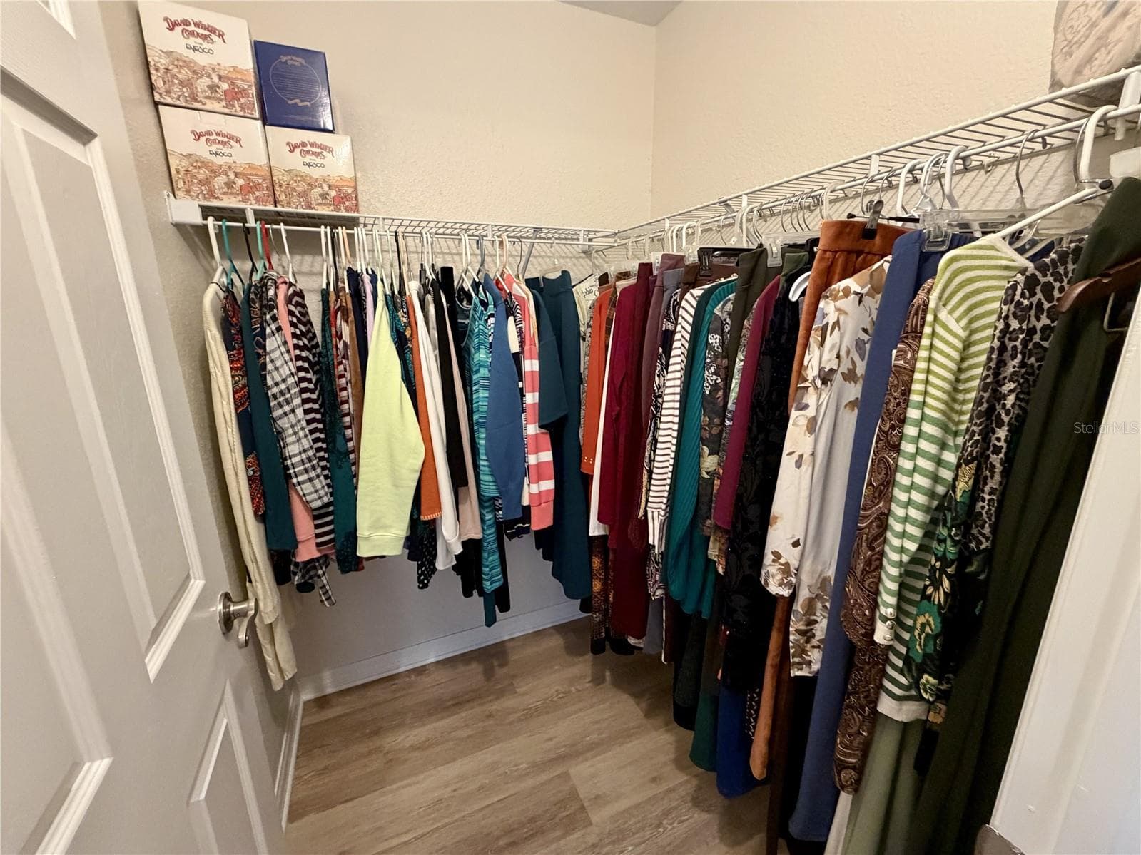 Walk-in Closet - 23411 MULLINS AVE, PORT CHARLOTTE
