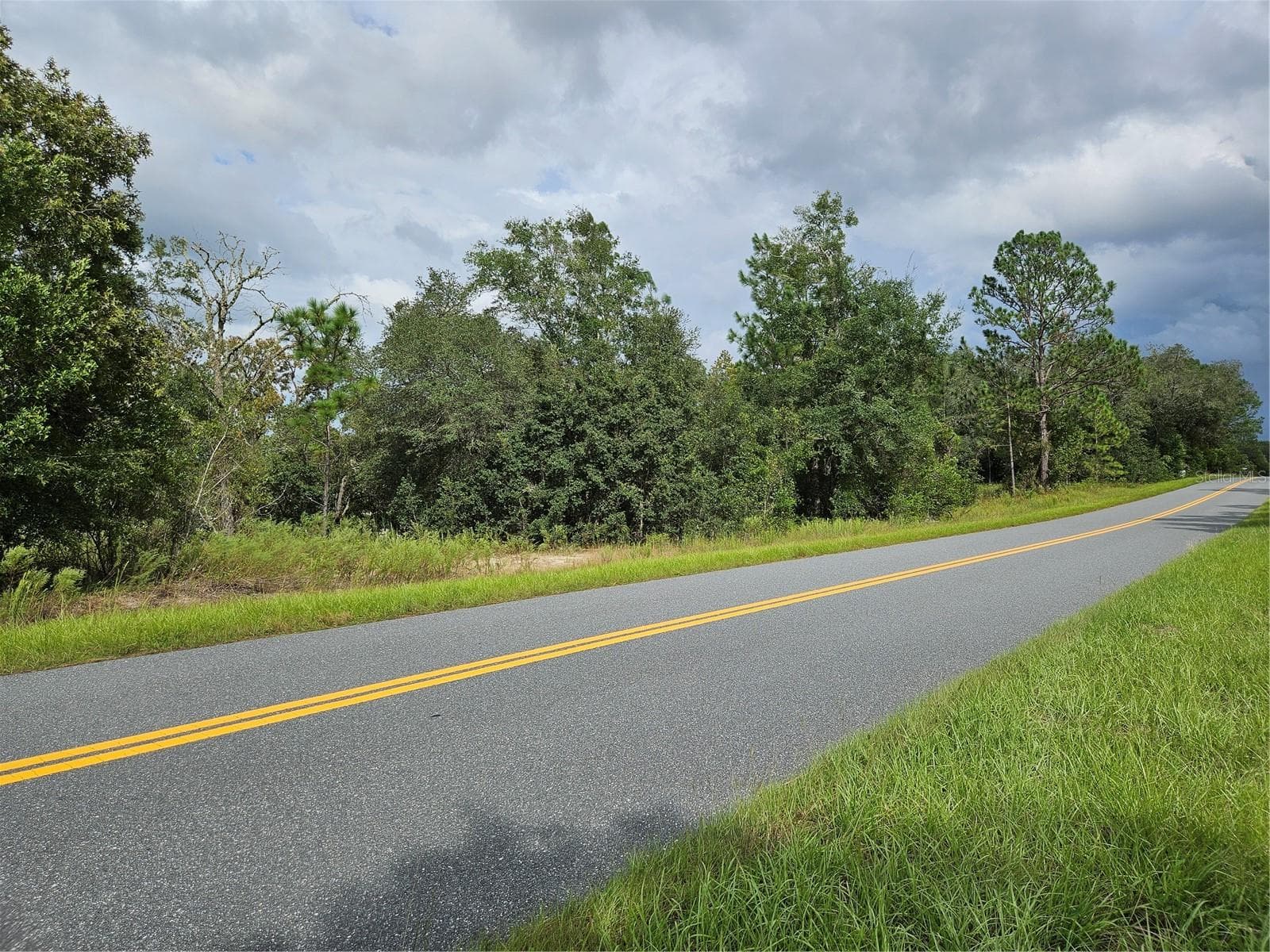 Looking East - TBD SW BEACH BLVD, DUNNELLON