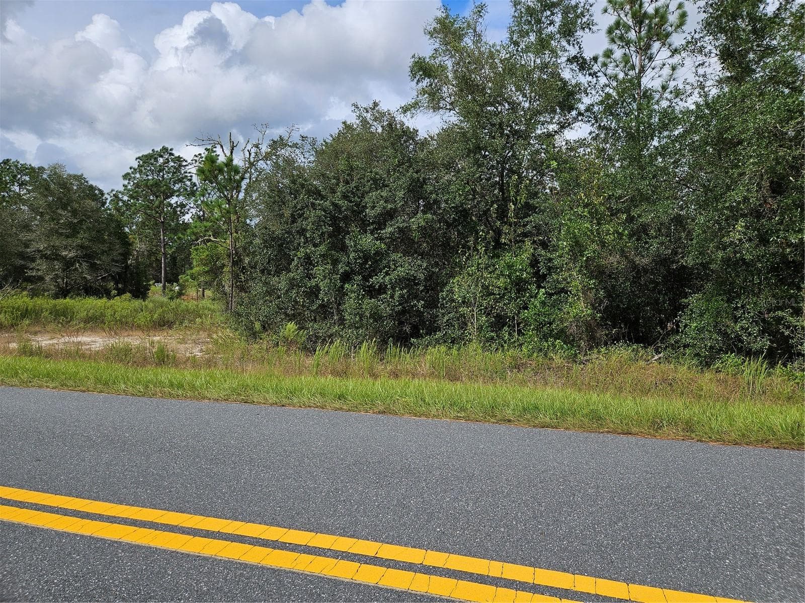 Land at TBD SW BEACH BLVD, DUNNELLON, photo 4 of 9