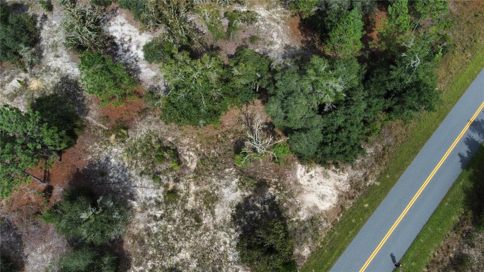 Land at TBD SW BEACH BLVD, DUNNELLON, photo 5 of 9