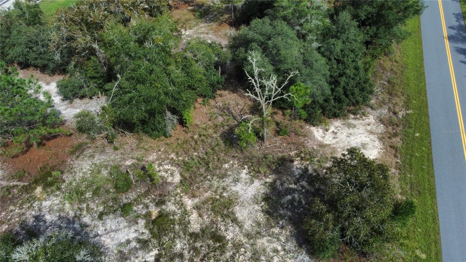 Land at TBD SW BEACH BLVD, DUNNELLON, photo 7 of 9