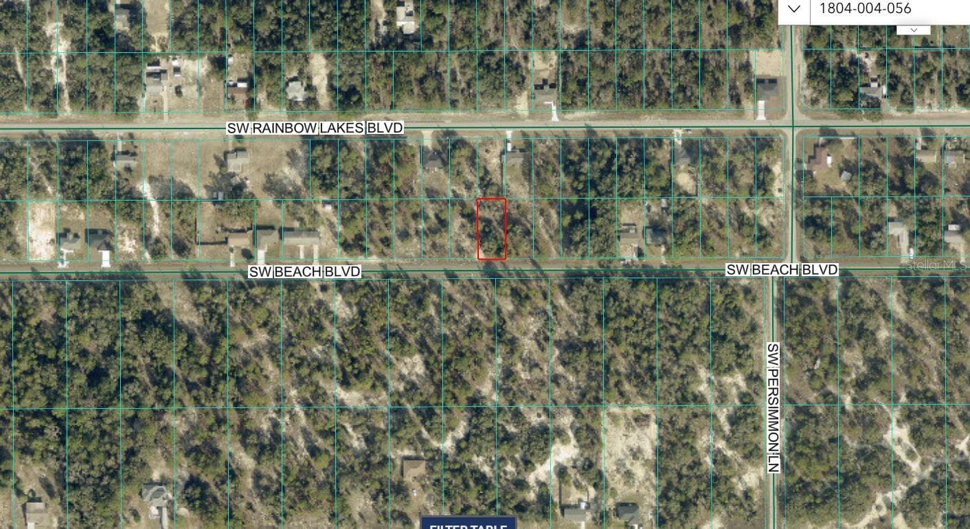 Land at TBD SW BEACH BLVD, DUNNELLON, photo 9 of 9
