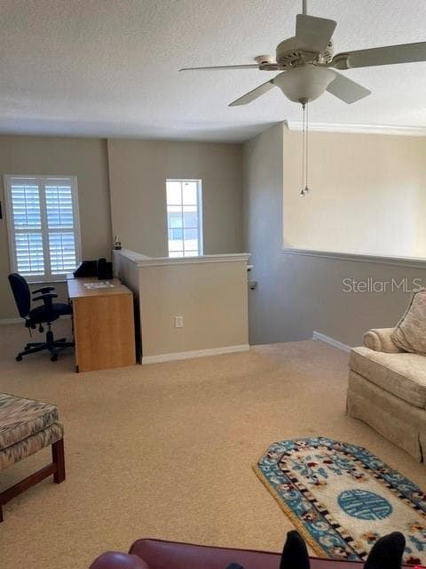 Townhouse at 558 SHINING ARMOR LN, LONGWOOD, photo 32 of 39