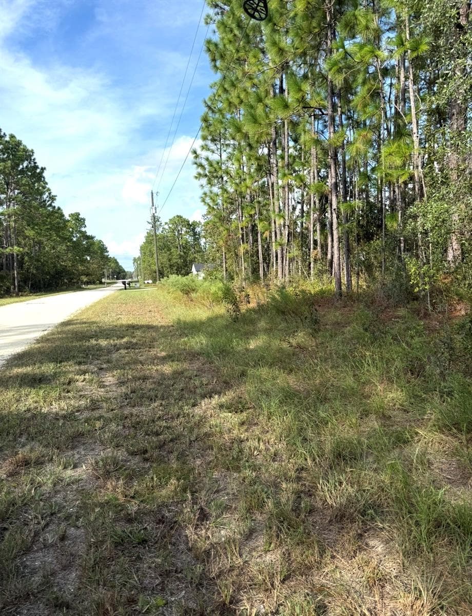 Land at 16154 MALDEN RD, WEEKI WACHEE, photo 3 of 4