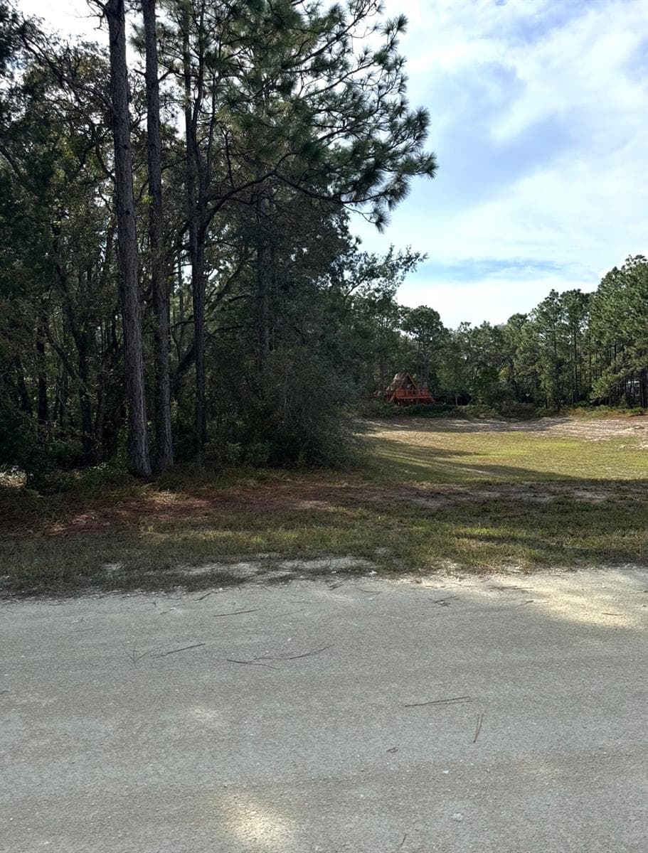 Land at 16154 MALDEN RD, WEEKI WACHEE, photo 4 of 4