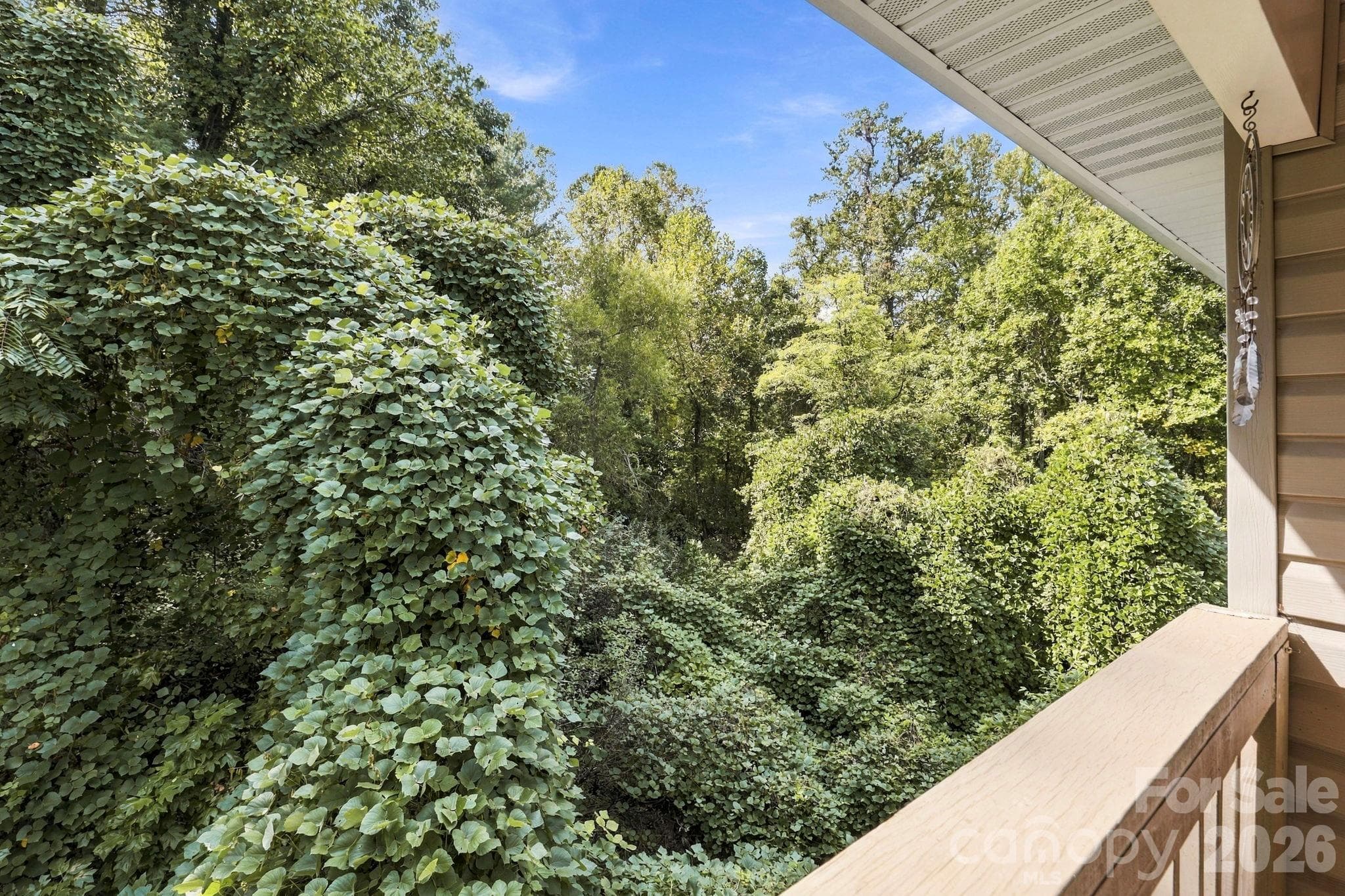 Back deck with storage closet views - 805 Carlyle Way, Asheville