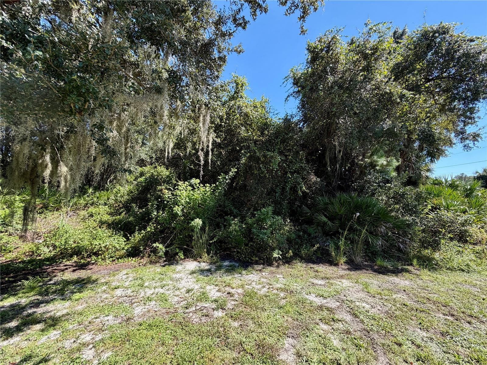 Back south side of the lot - KIMBALL CIR, NORTH PORT
