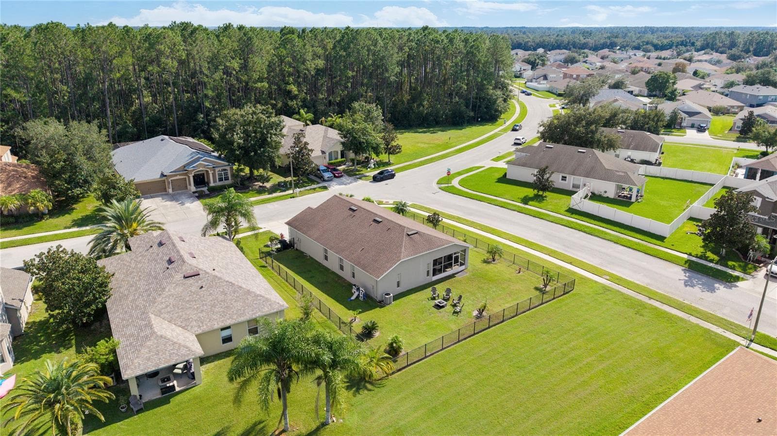 Corner lot with metal fence and lush grass. - 7619 CRESCENT PALM DR, WESLEY CHAPEL