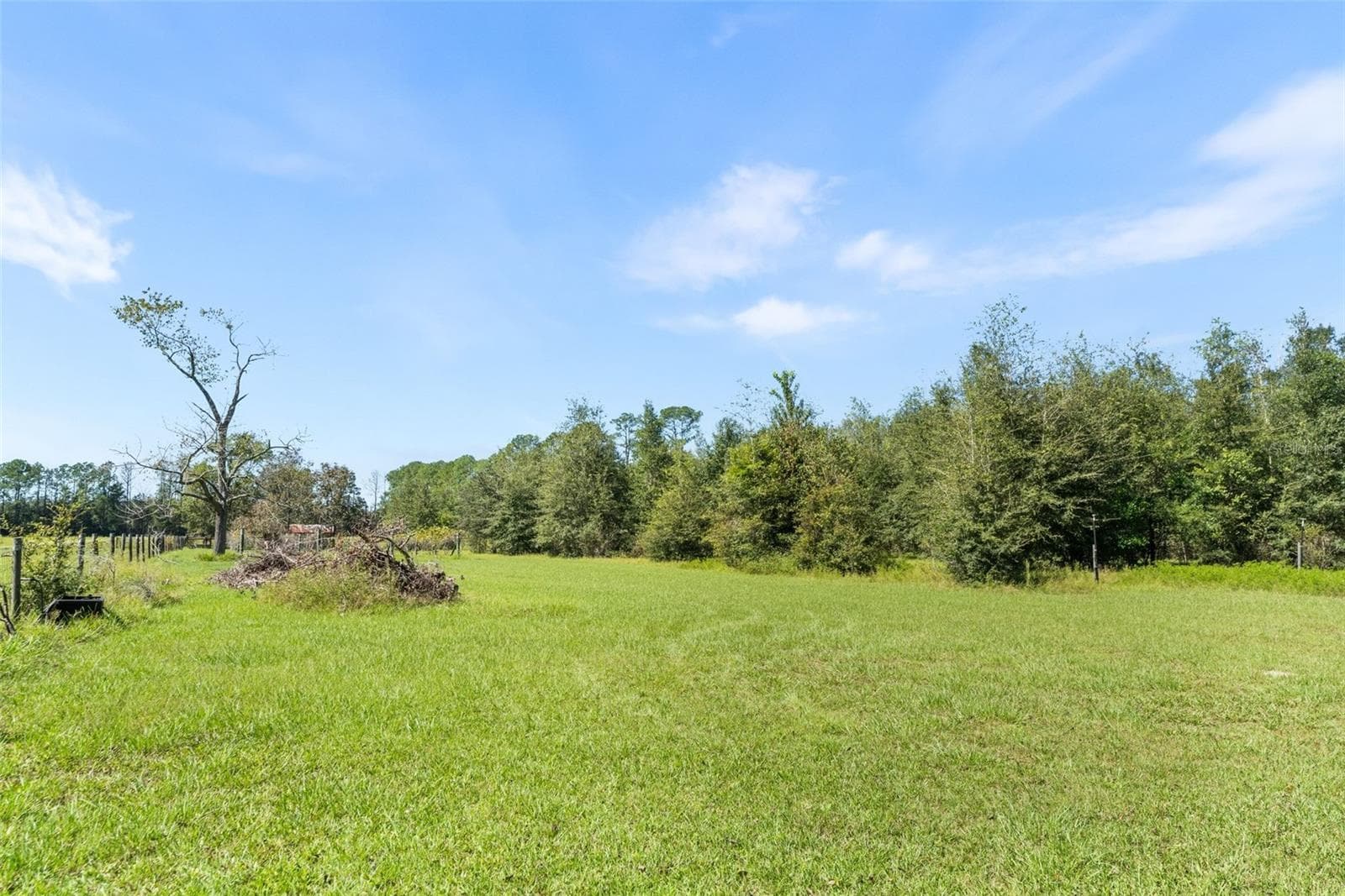 Single Family Residence at 5804 NW 158TH ST, ALACHUA, photo 44 of 49