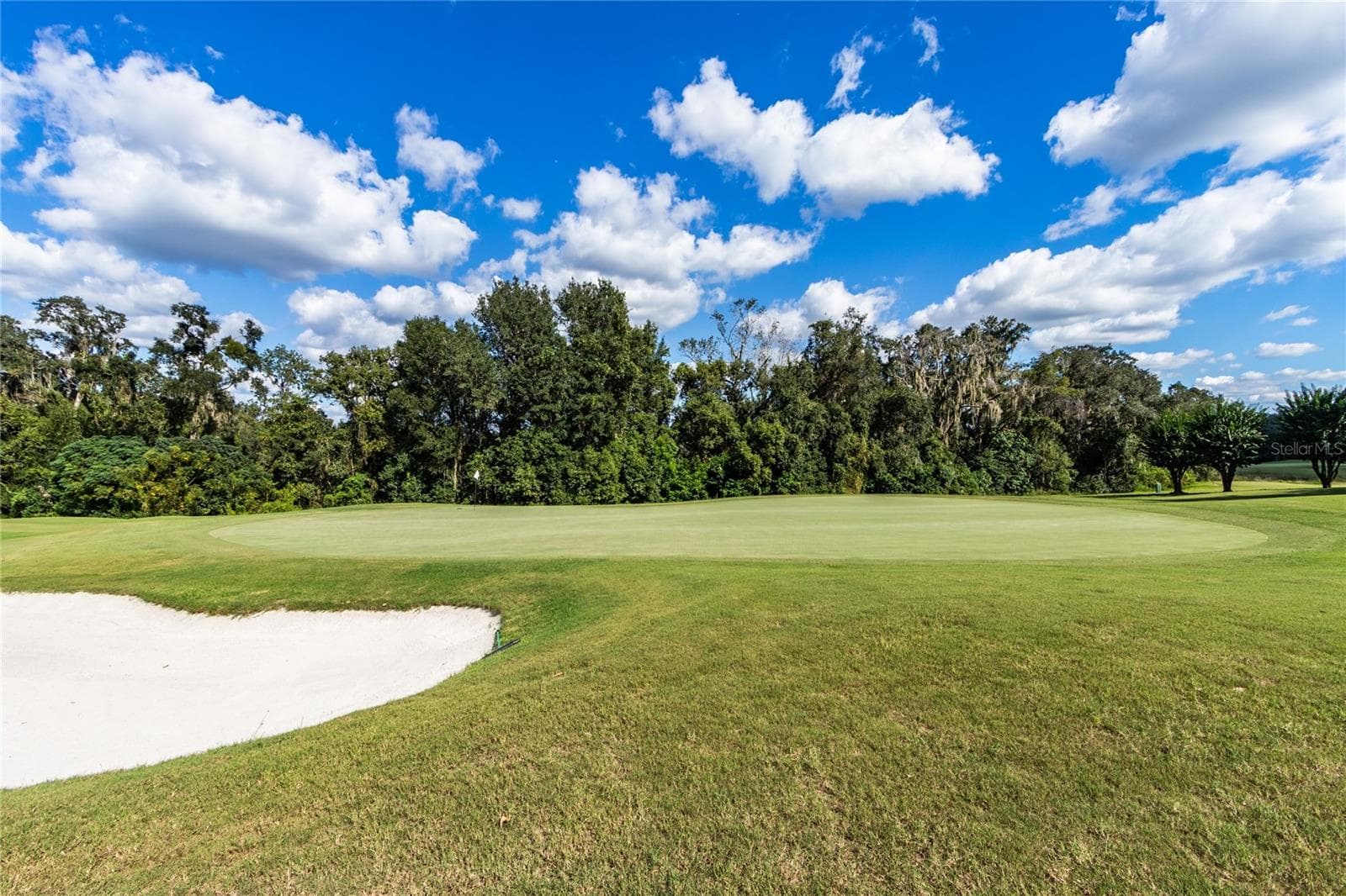 GREAT views of South course - 13030 GRAND TRAVERSE DR, DADE CITY