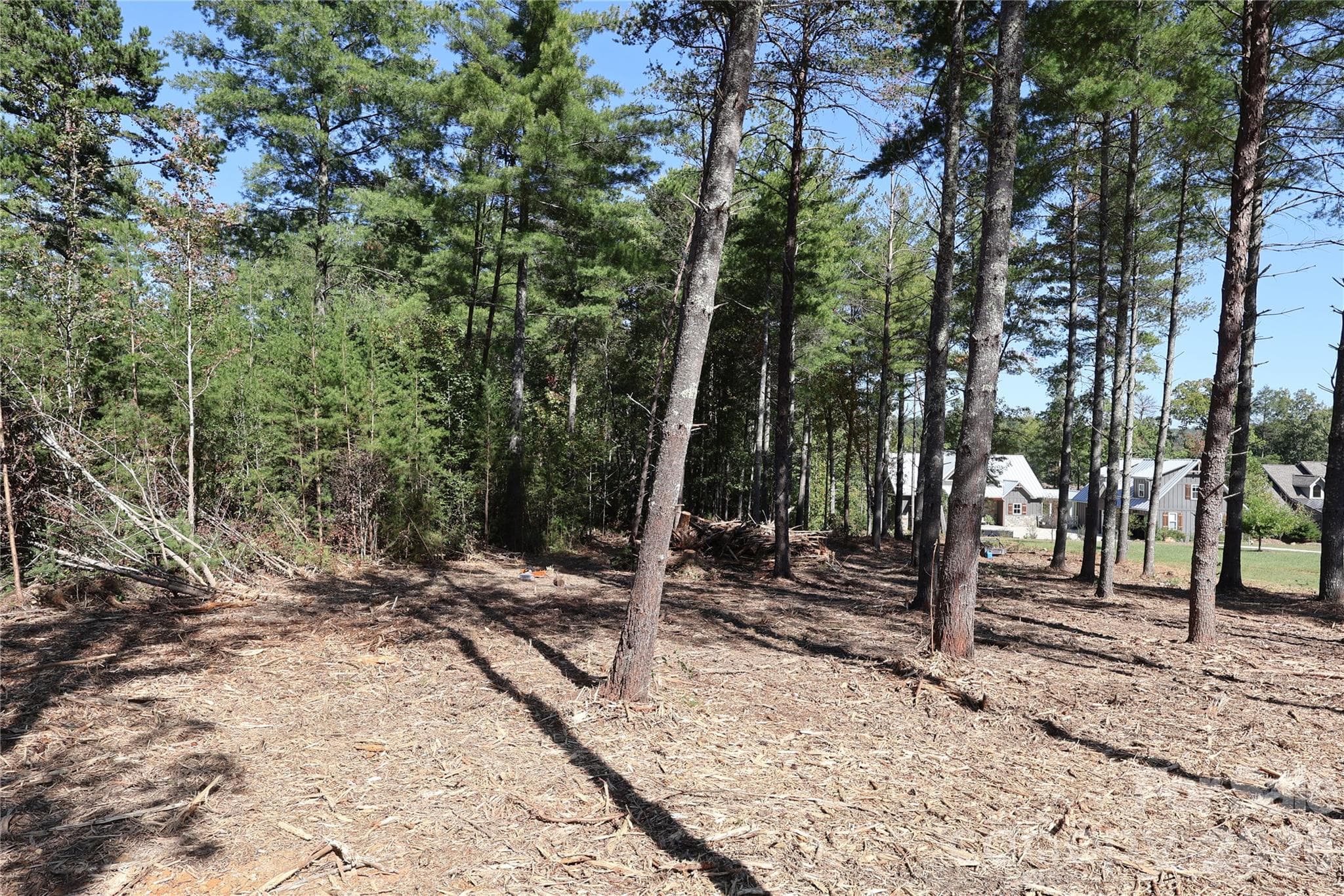 Lot. street view - 25 Linville View Drive, Nebo