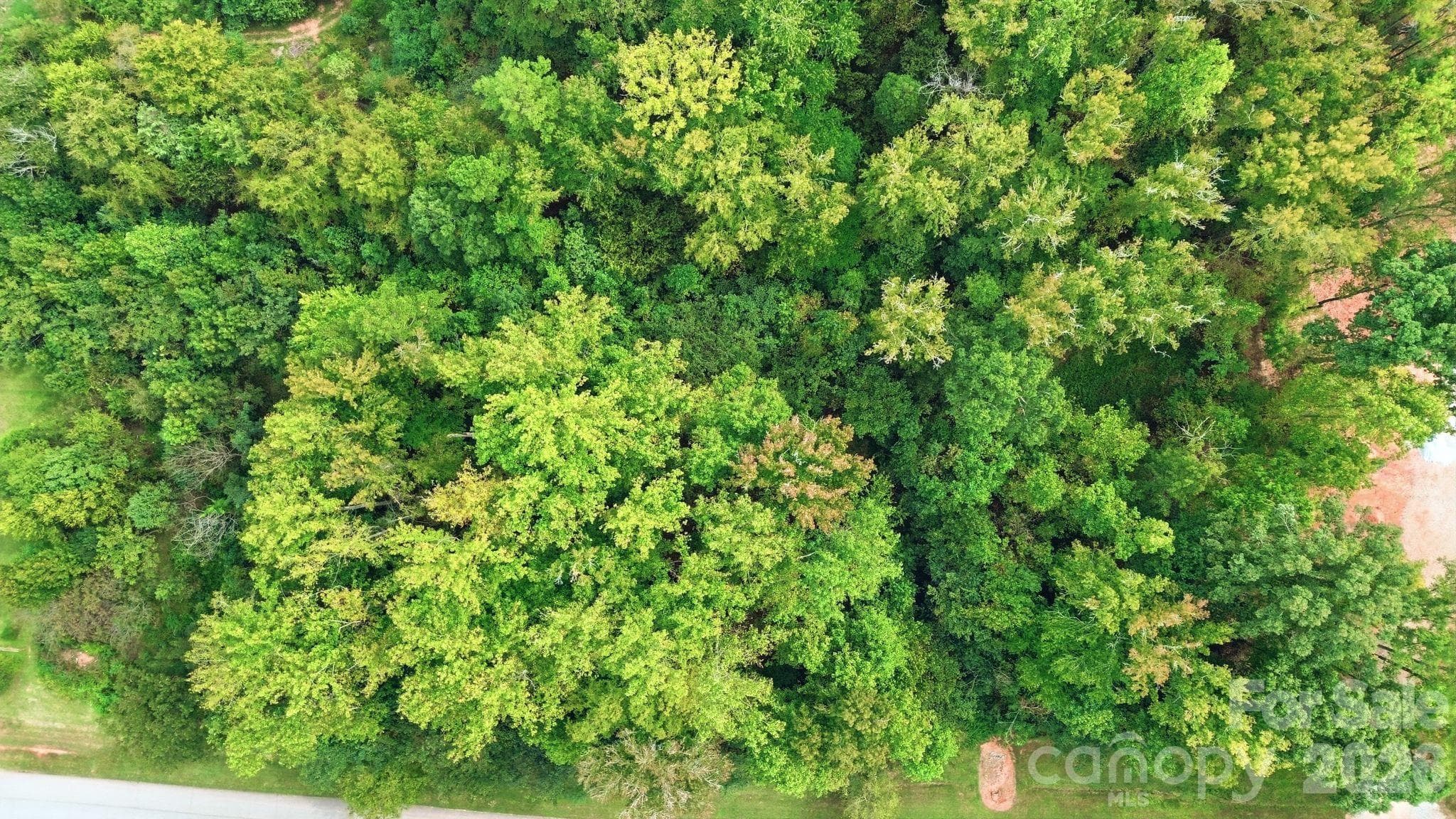 Acreage at 0 Lake Drive, Salisbury, photo 12 of 21