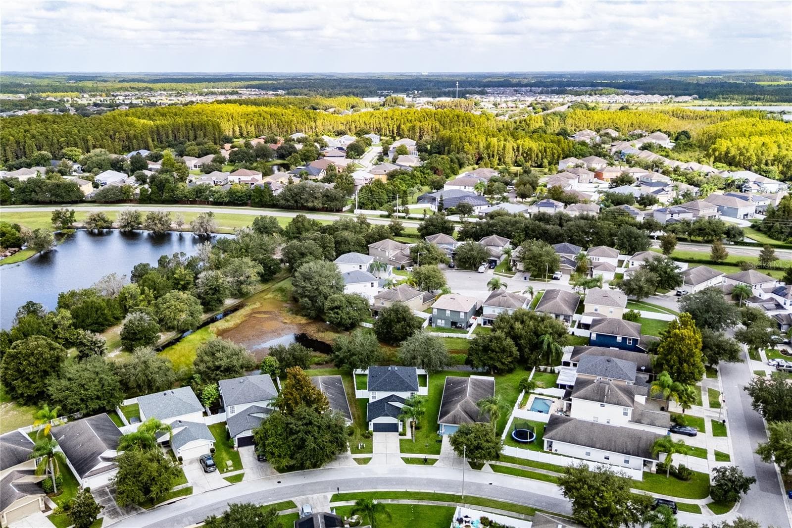 Single Family Residence at 3323 WHITLEY BAY CT, LAND O LAKES, photo 69 of 99