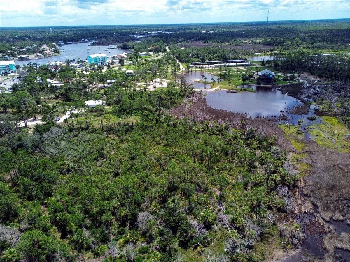 Land at TBD SW 276 AVE, STEINHATCHEE, photo 3 of 6