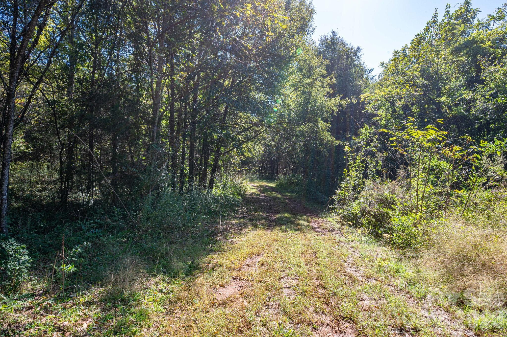 Acreage at 0 Riverview Road, Lincolnton, photo 16 of 21