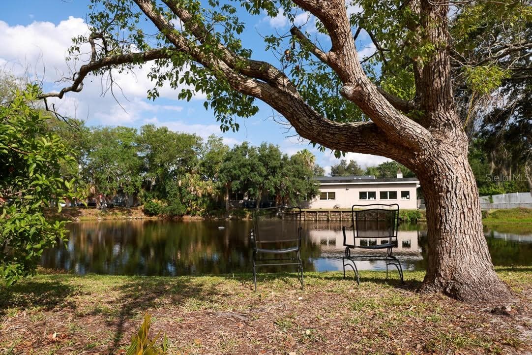 The View! - 405 MANOR BLVD, PALM HARBOR