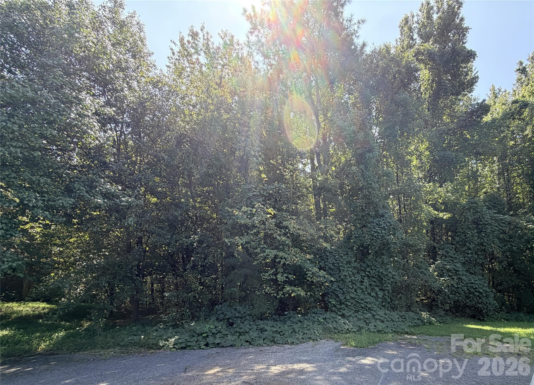 6365 Brownhill Drive