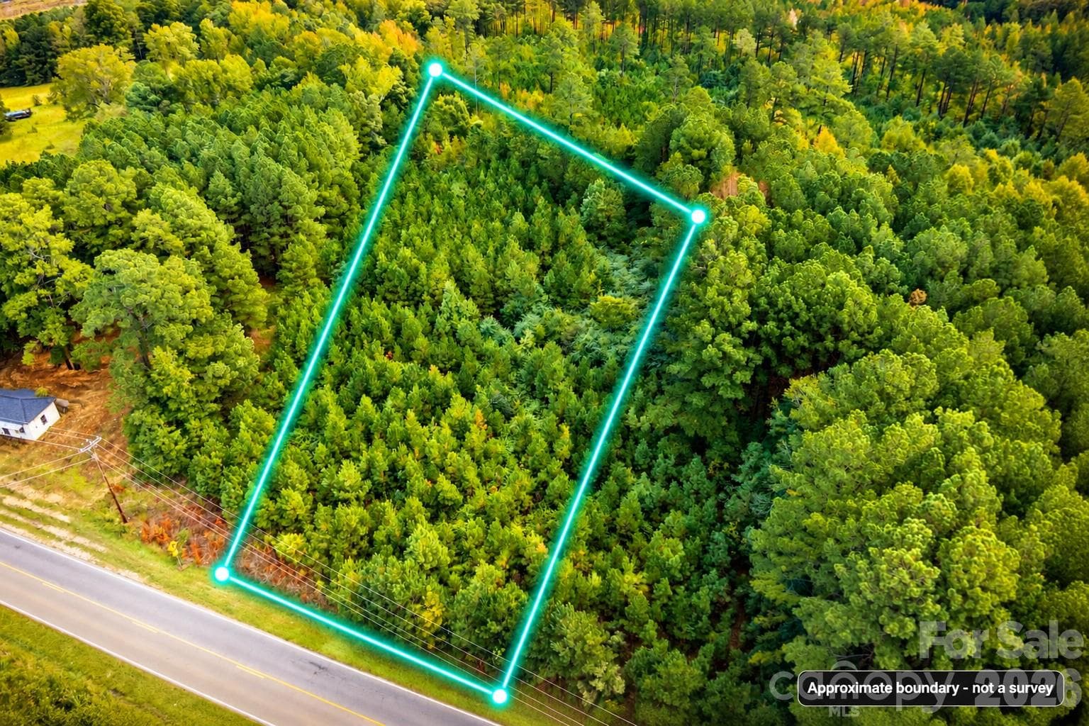 Lot at 00 NC 109 Highway N, Wadesboro, photo 4 of 6