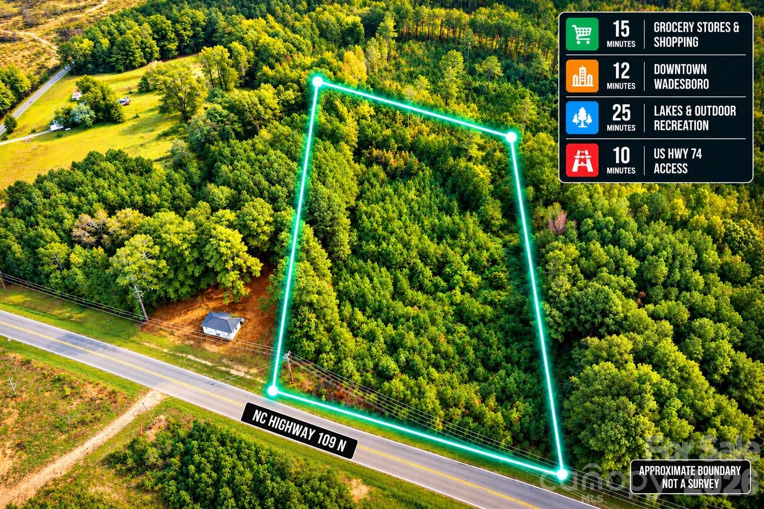 Lot at 00 NC 109 Highway N, Wadesboro, photo 6 of 6