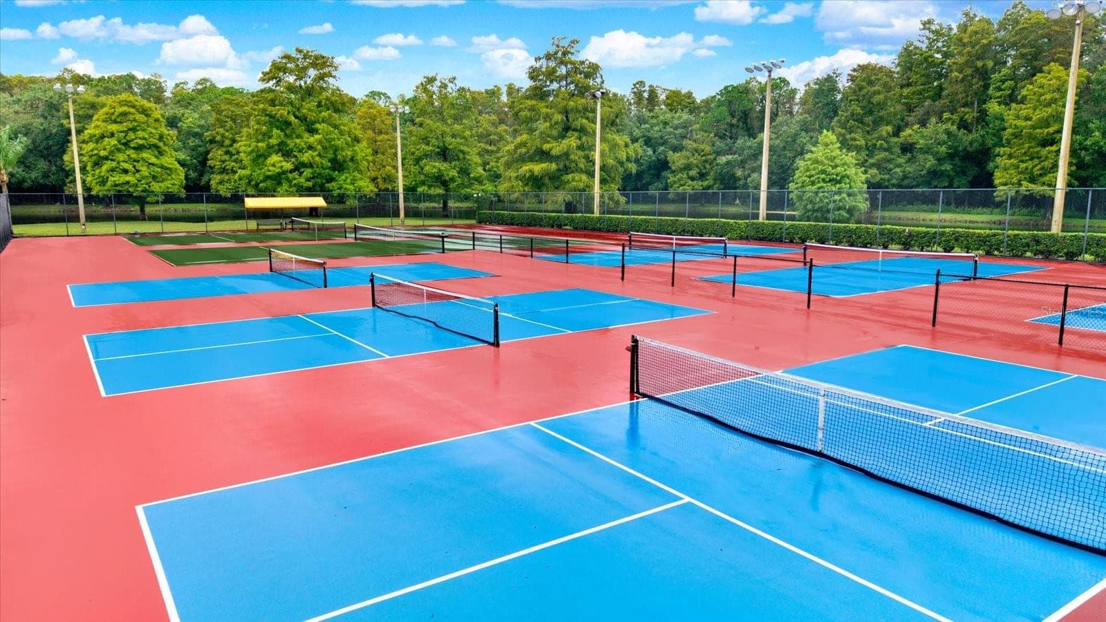 Pickleball & Tennis Courts - 3433 HILLMOOR DR, PALM HARBOR