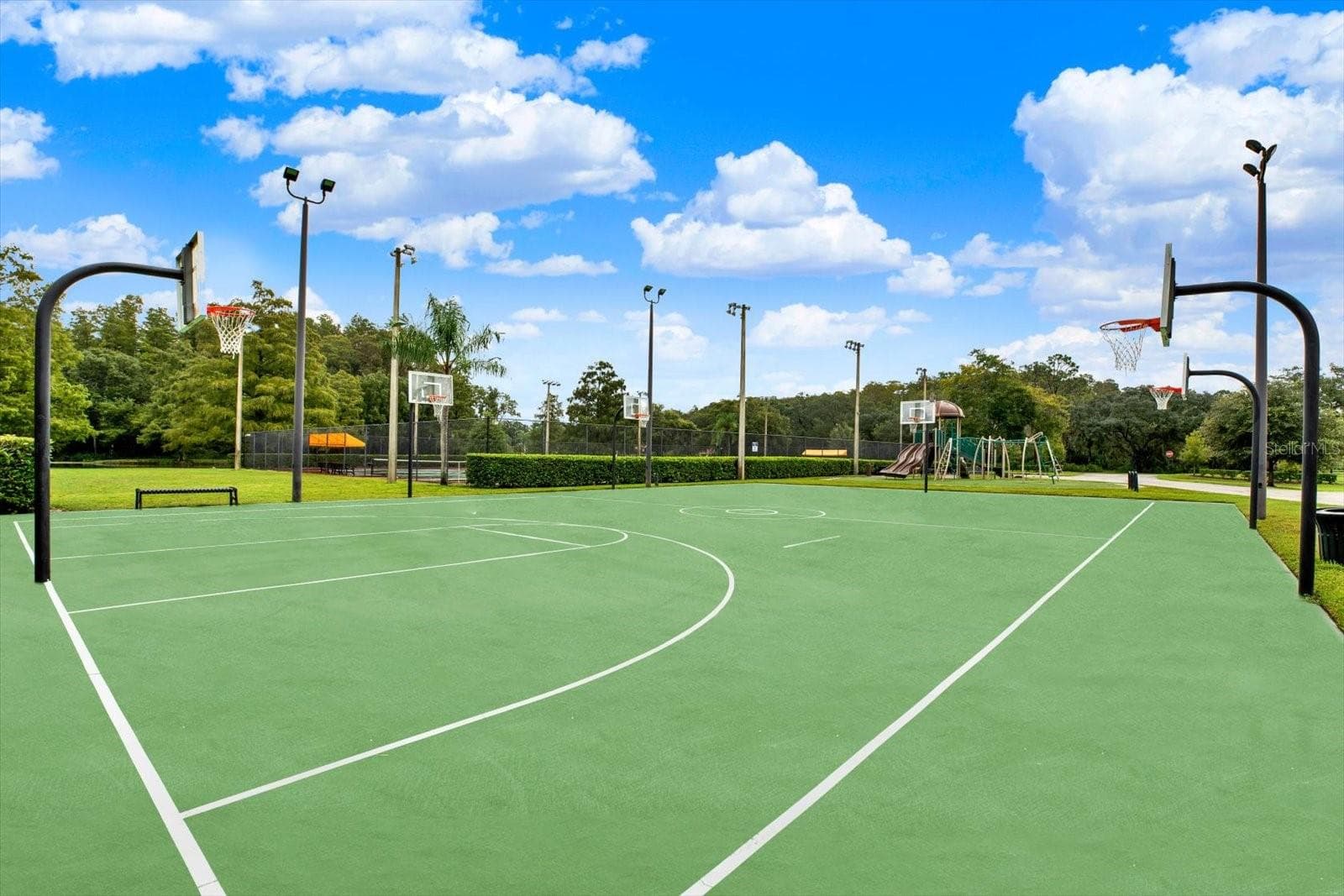 Tennis Courts - 3433 HILLMOOR DR, PALM HARBOR
