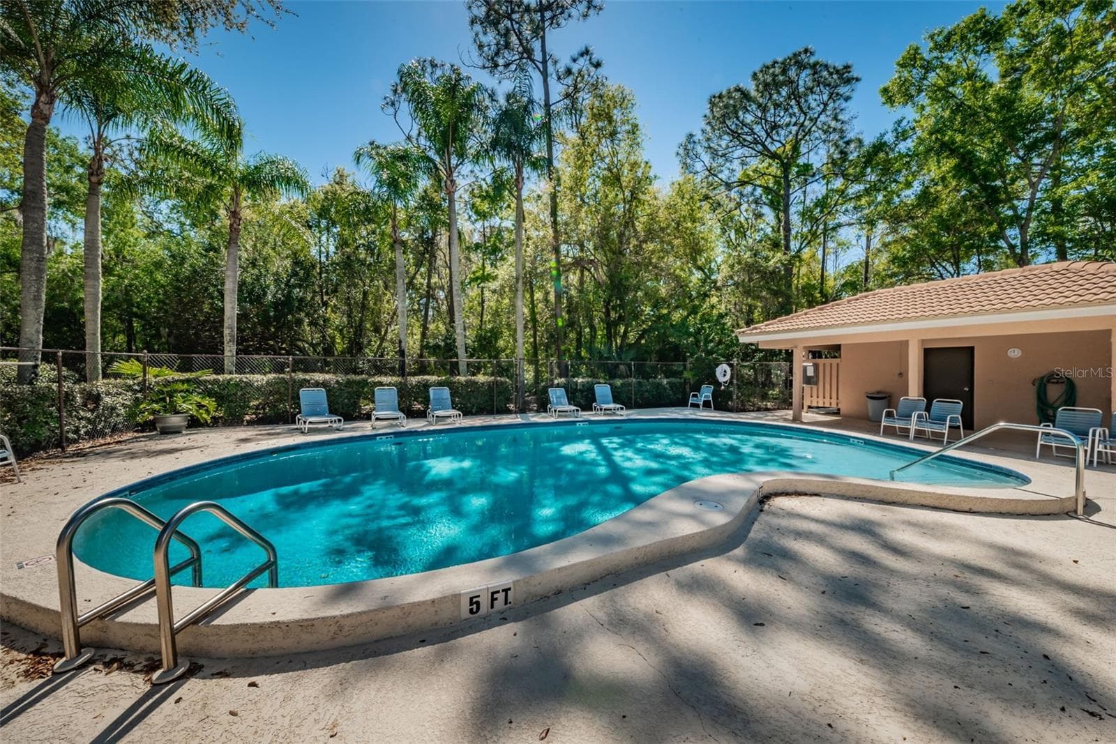 Condominium at 1290 CLAYS TRL #1403, OLDSMAR, photo 41 of 61