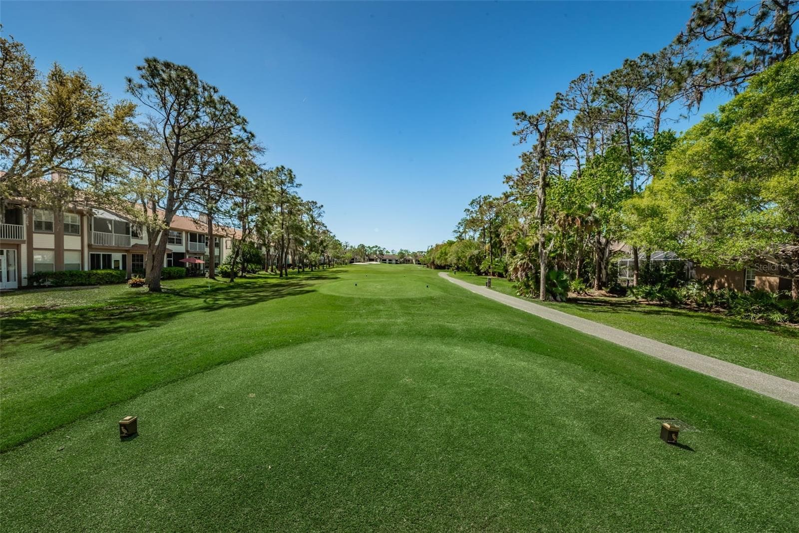 Condominium at 1290 CLAYS TRL #1403, OLDSMAR, photo 42 of 61