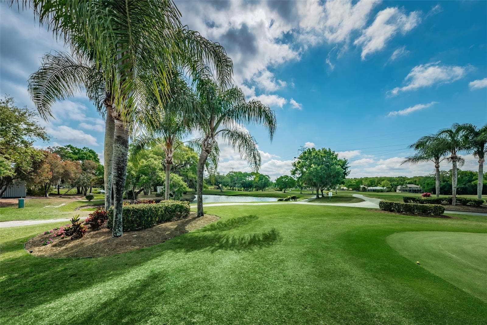 Condominium at 1290 CLAYS TRL #1403, OLDSMAR, photo 55 of 61