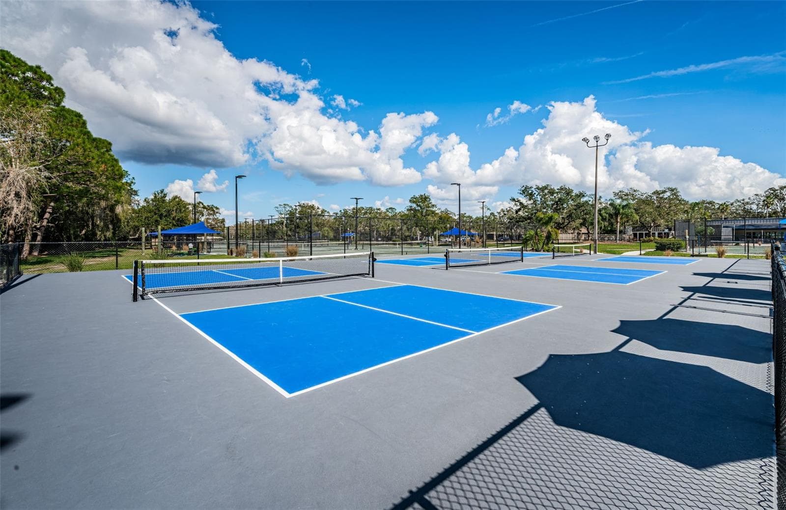 Condominium at 1290 CLAYS TRL #1403, OLDSMAR, photo 57 of 61