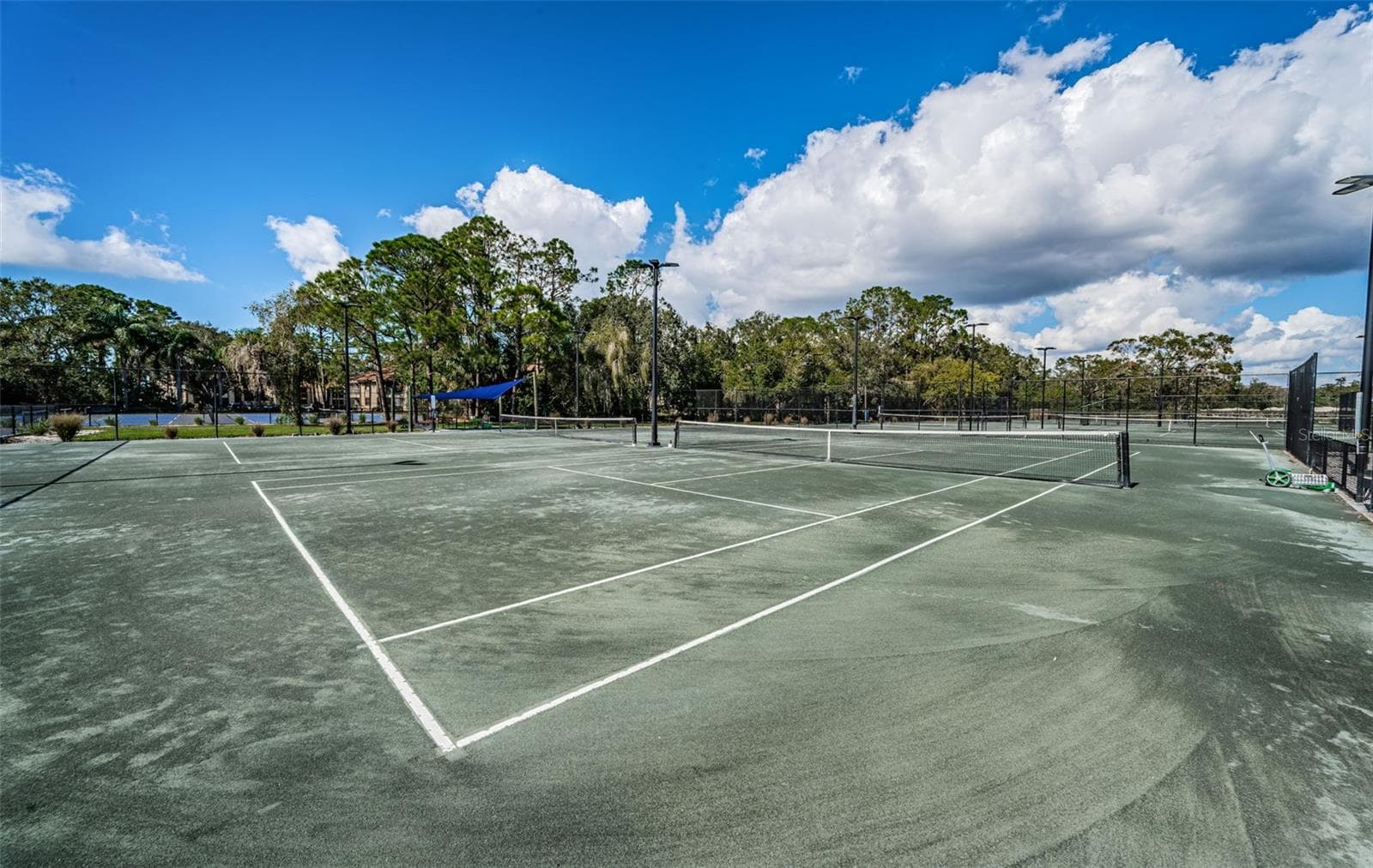 Condominium at 1290 CLAYS TRL #1403, OLDSMAR, photo 61 of 61