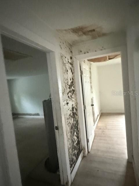 Discoloration Wall with when you first enter house; wall on left. This is badbut the converted garage in worst. - 225 RONNIE CIR, ORLANDO