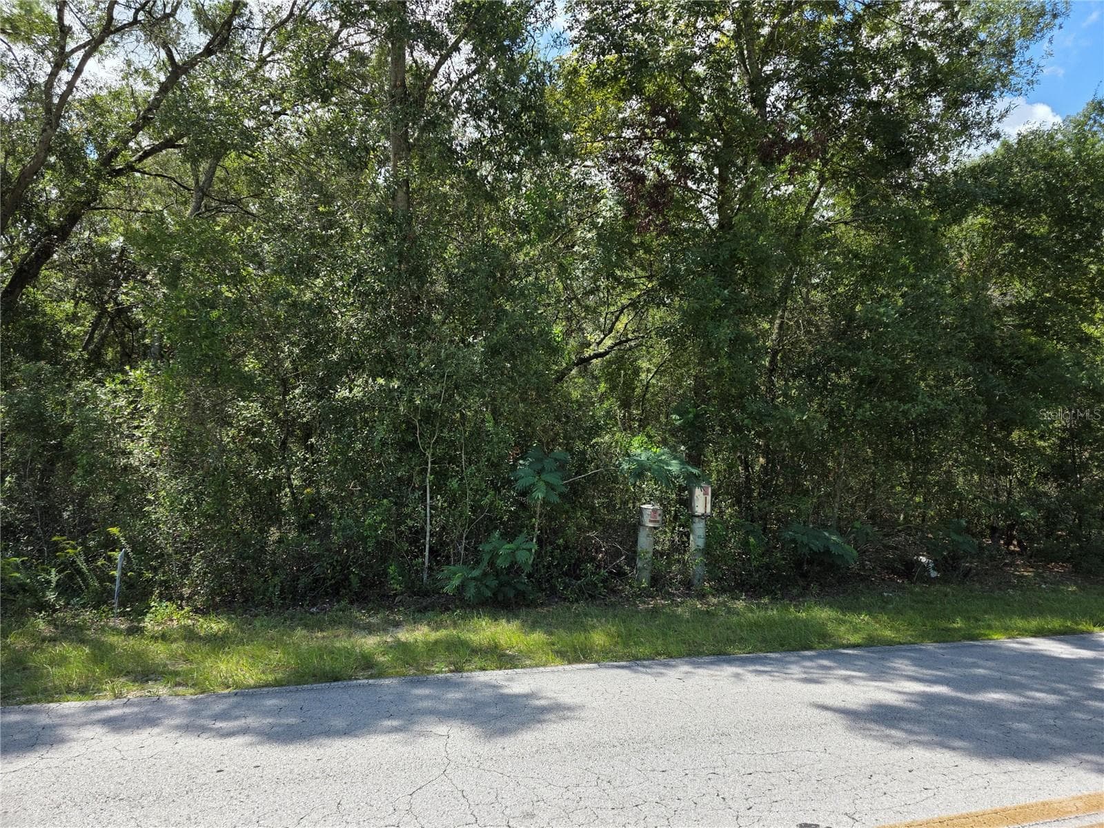 View showing the paved road and utility lines - 00 SE 132ND PL, OCKLAWAHA