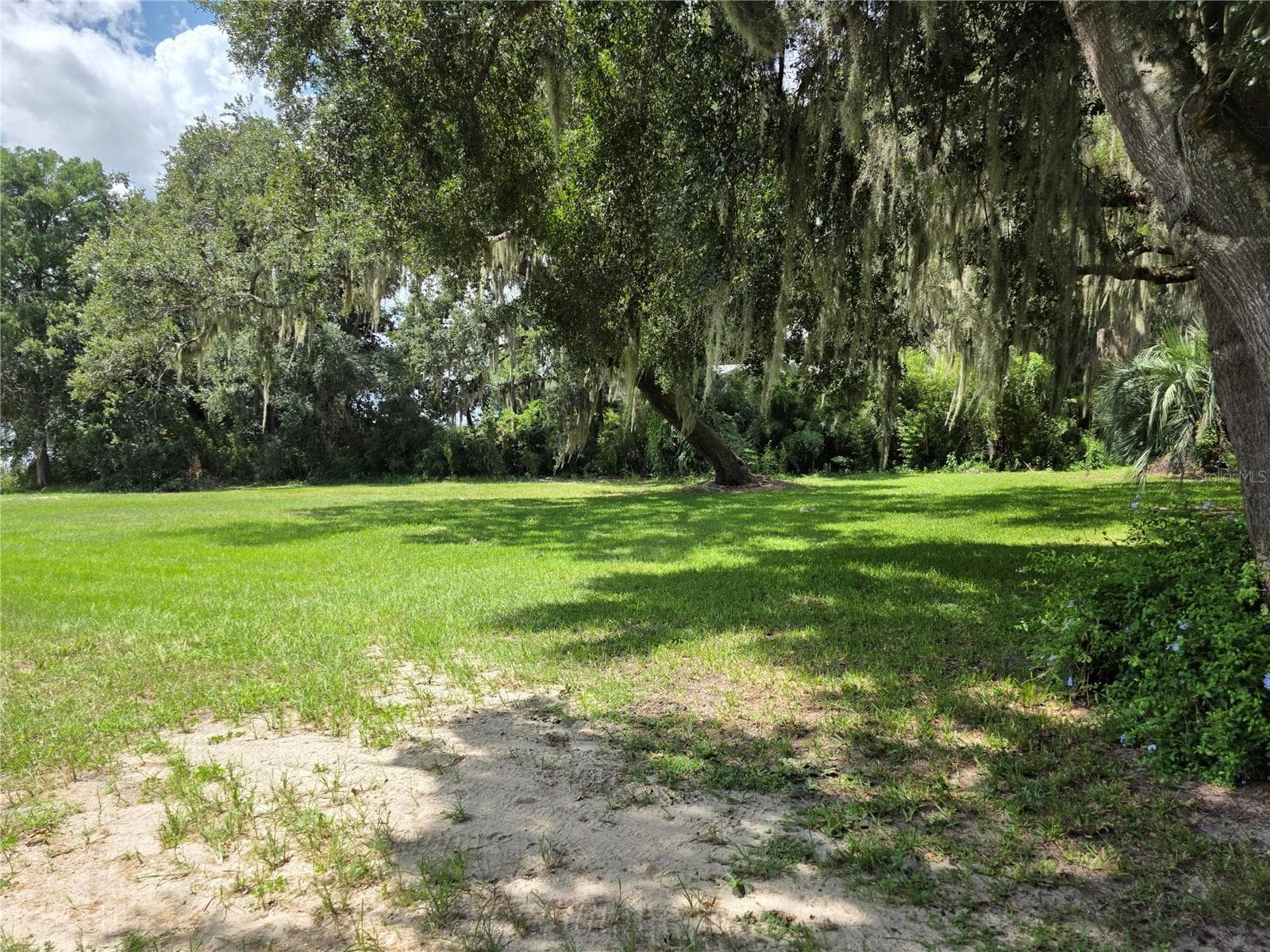 Here is the shaded area - 00 SE 132ND PL, OCKLAWAHA