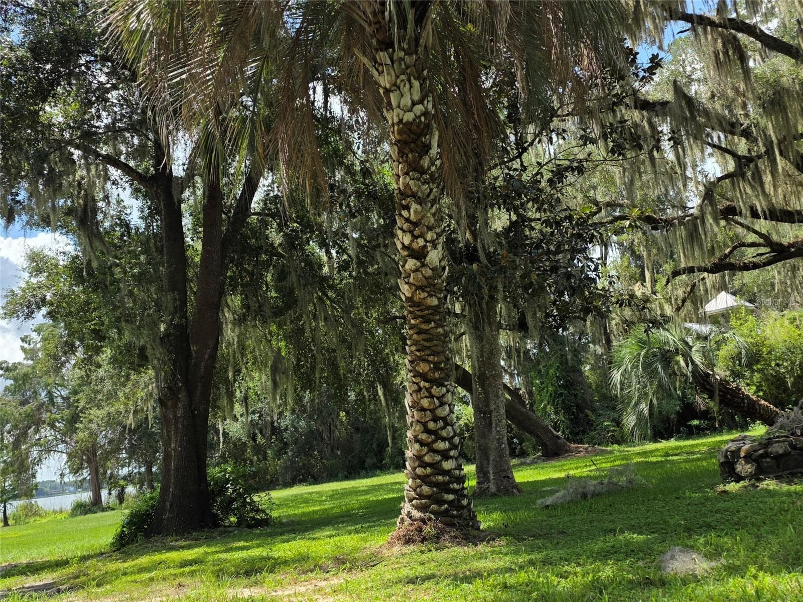Pretty palms and oaks - 00 SE 132ND PL, OCKLAWAHA