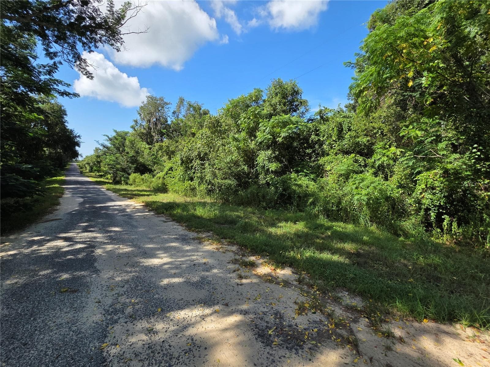 The road is paved just until you reach the lot - 00 KEEDY RD, LADY LAKE