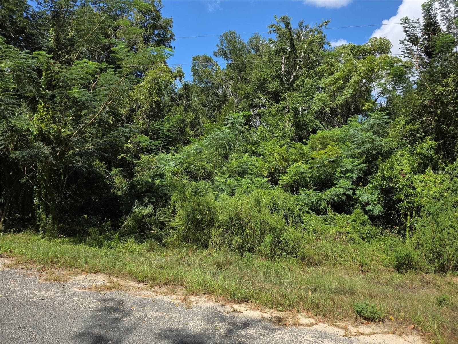 The left side of the property - 00 KEEDY RD, LADY LAKE