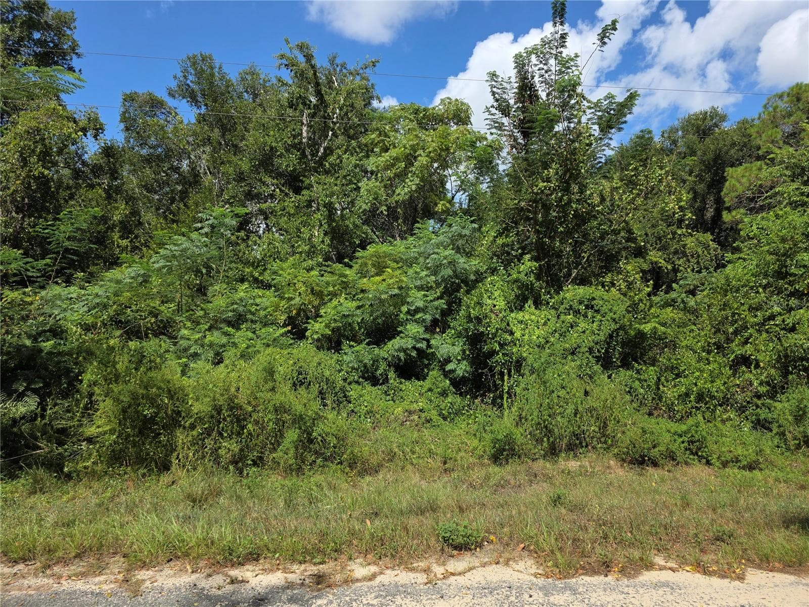 The middle of the property - 00 KEEDY RD, LADY LAKE