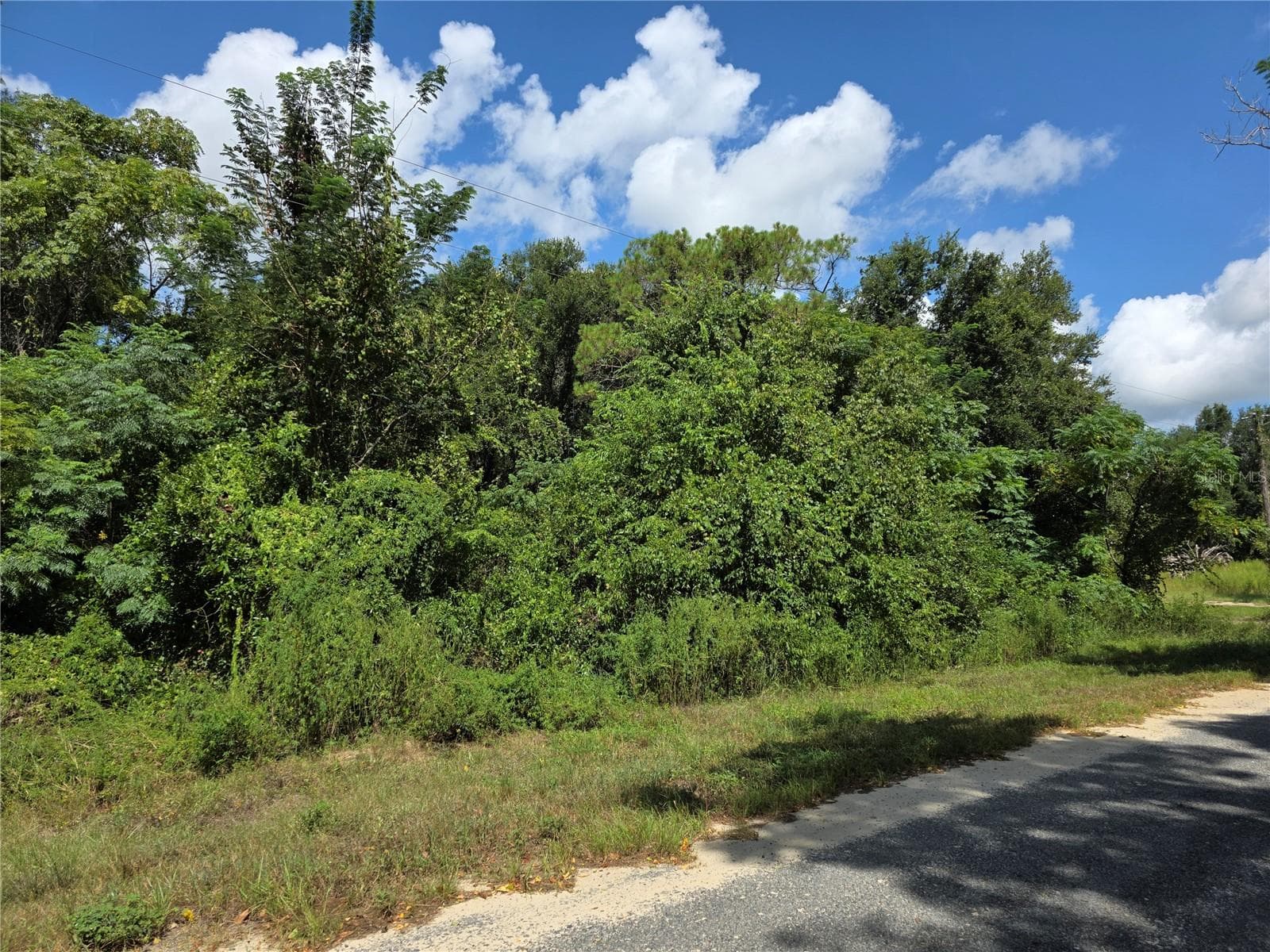 The right side of the property just before the end where the road takes a left turn - 00 KEEDY RD, LADY LAKE