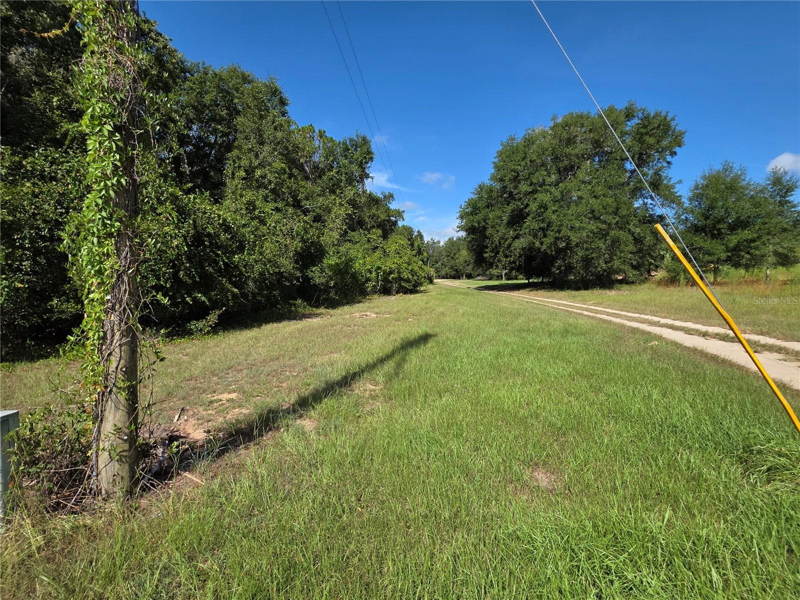 The side of the property showing the north long end property line - 00 KEEDY RD, LADY LAKE