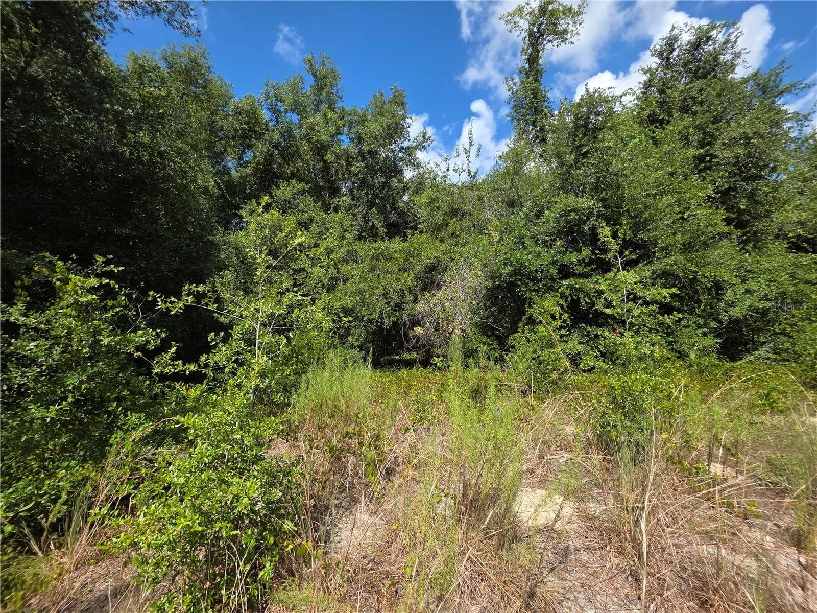 A view of the interior of the property that is slightly cleared - 00 KEEDY RD, LADY LAKE