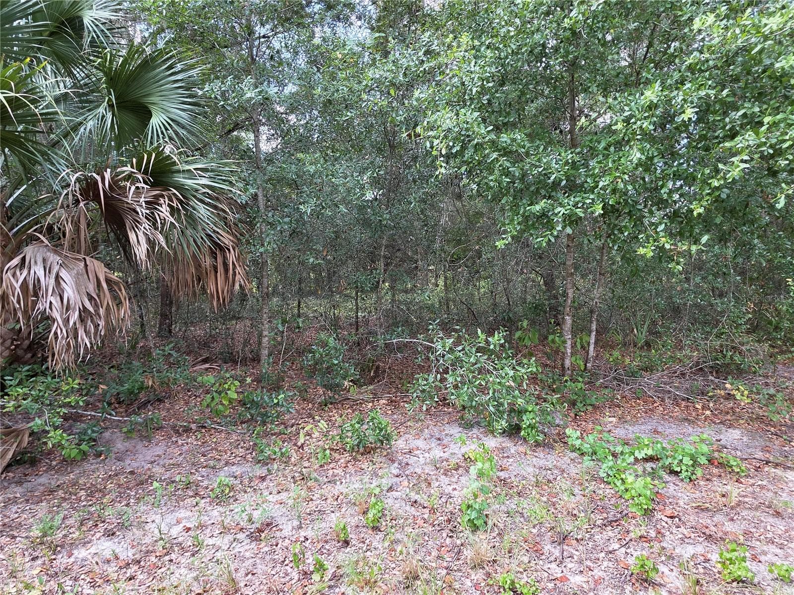 Another view of the interior of the property - 00 KEEDY RD, LADY LAKE