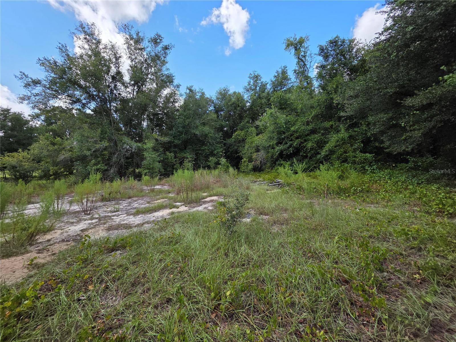 Land at 00 KEEDY RD, LADY LAKE, photo 10 of 14