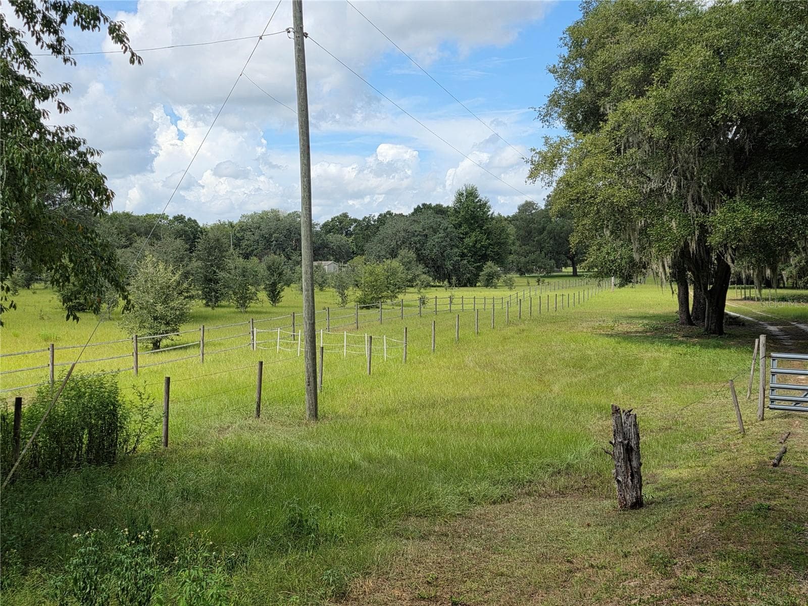 This shows the neighbor property cleared and lovely - 00 KEEDY RD, LADY LAKE