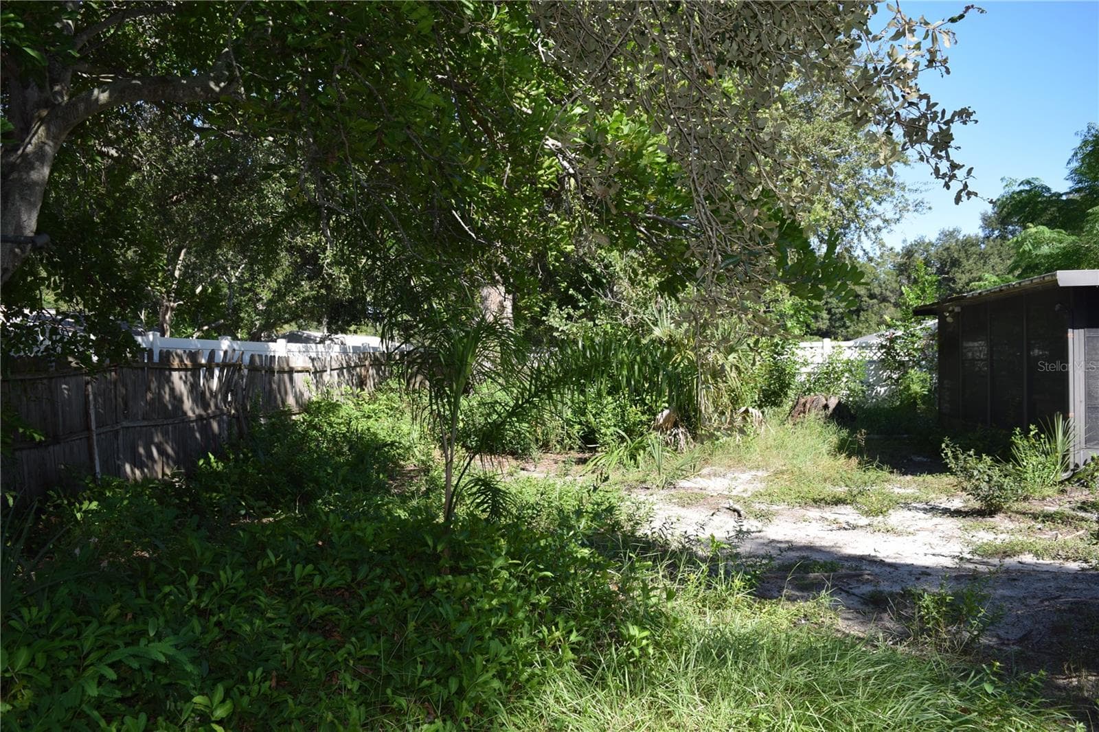 Back yard has much potential - 1610 AMBERLEA DR N, DUNEDIN