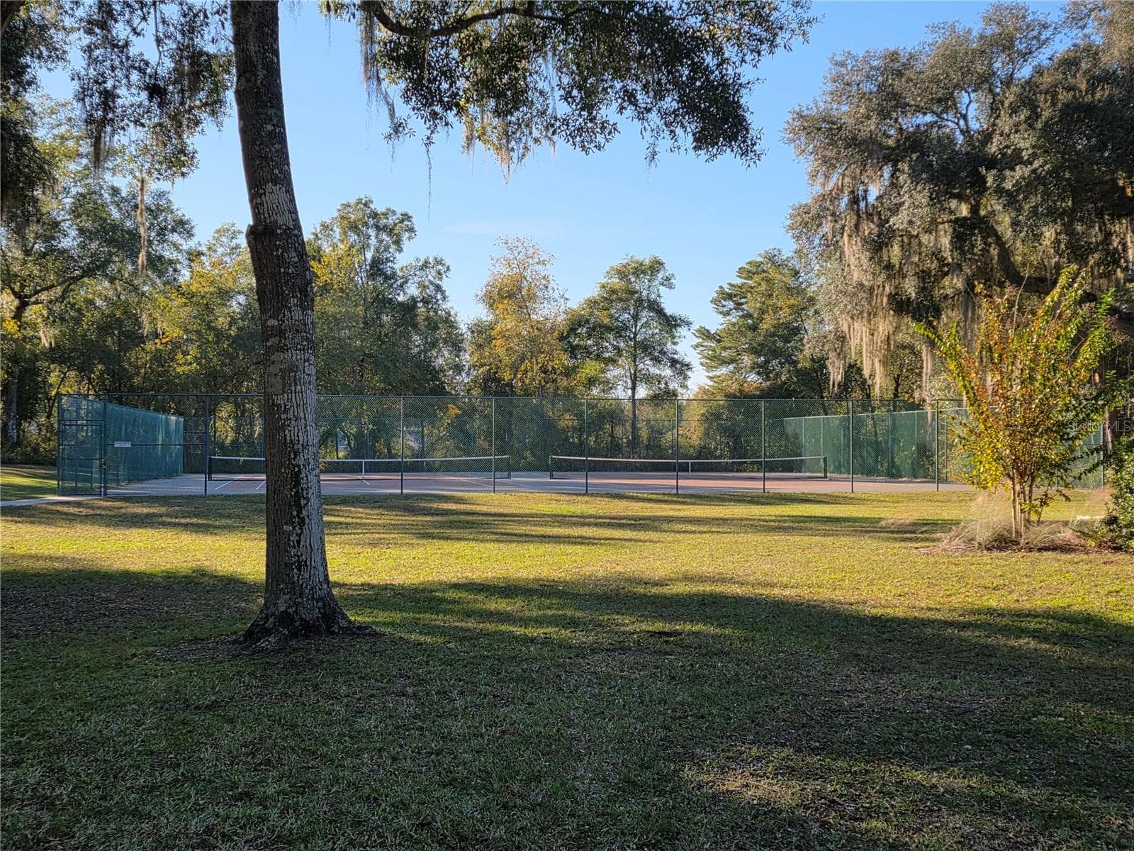 Single Family Residence at 3418 SW 155TH PL, OCALA, photo 39 of 40