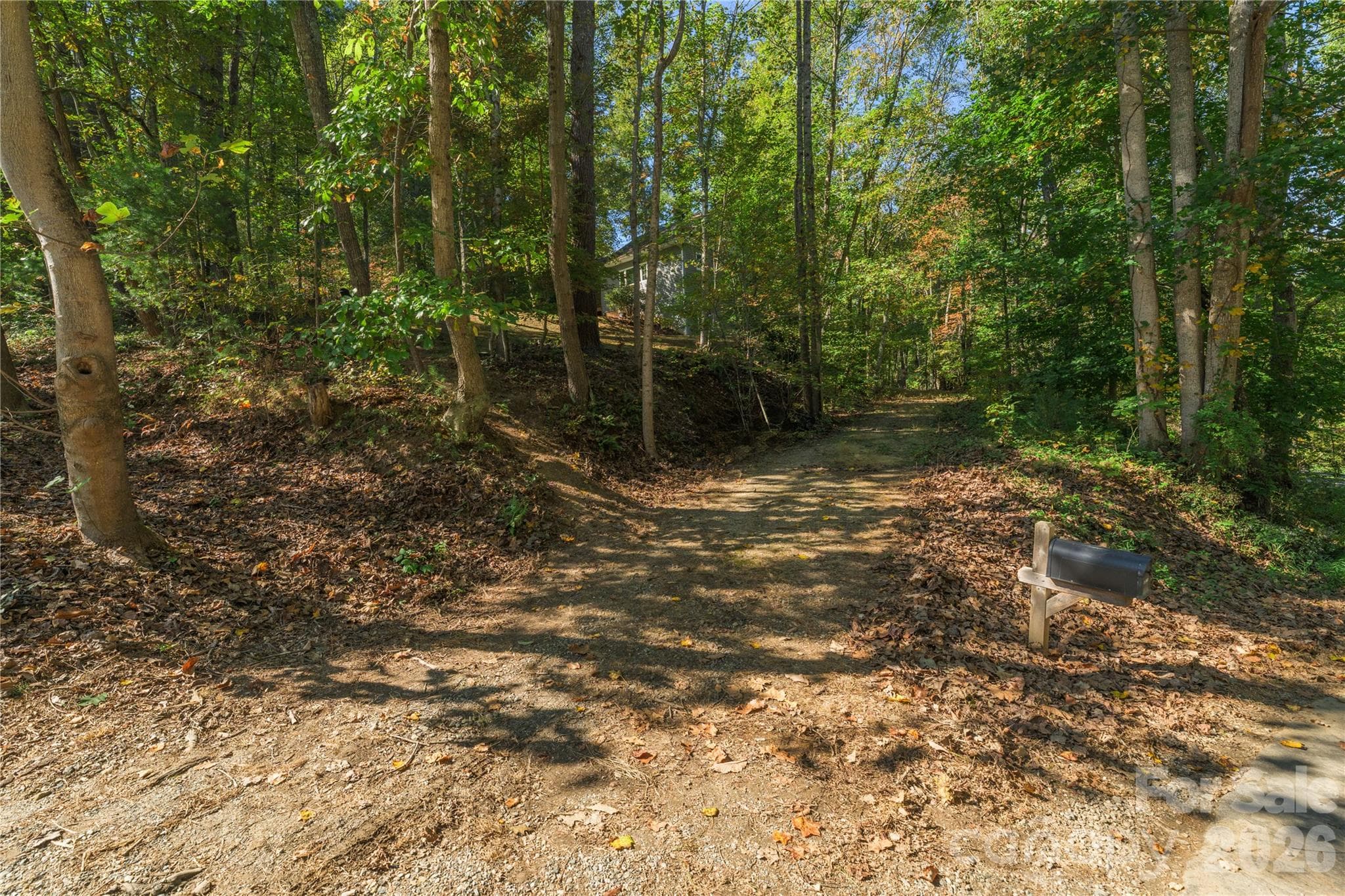 Lower portion of land has been cleared - 5 Goodman Road, Asheville