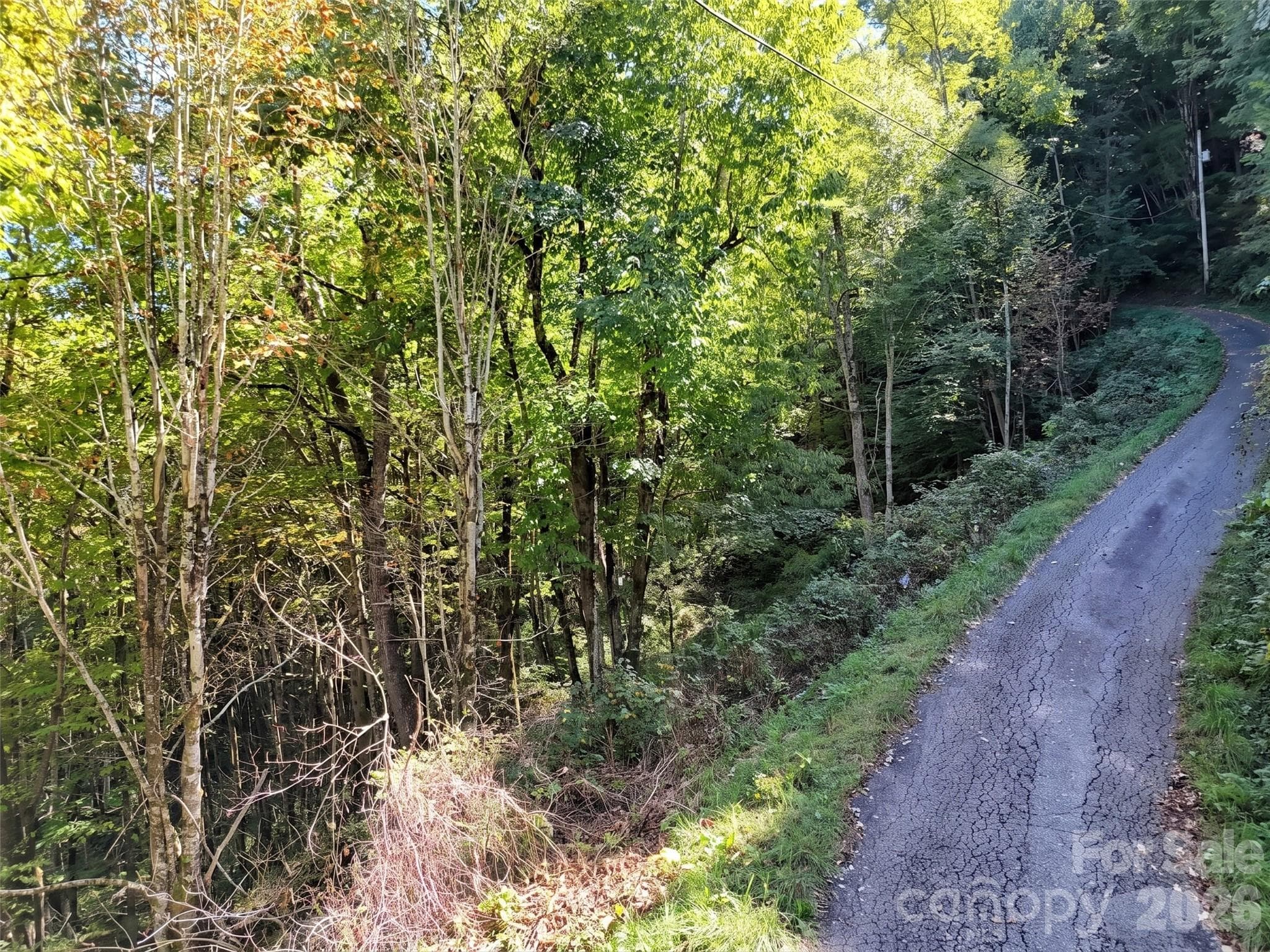Lot at 00 Buckeye Haven Road, Maggie Valley, photo 3 of 14