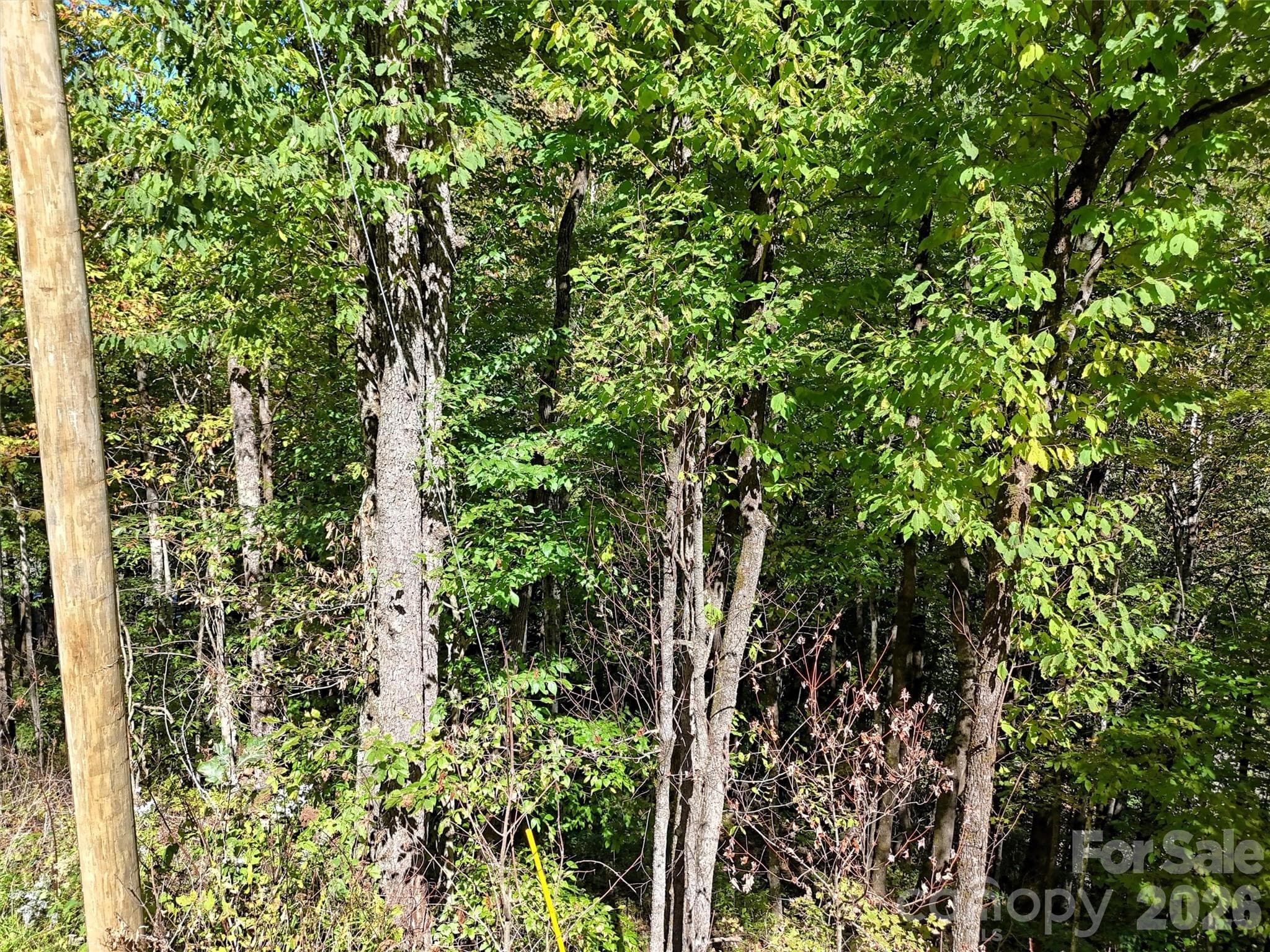 Lot at 00 Buckeye Haven Road, Maggie Valley, photo 5 of 14