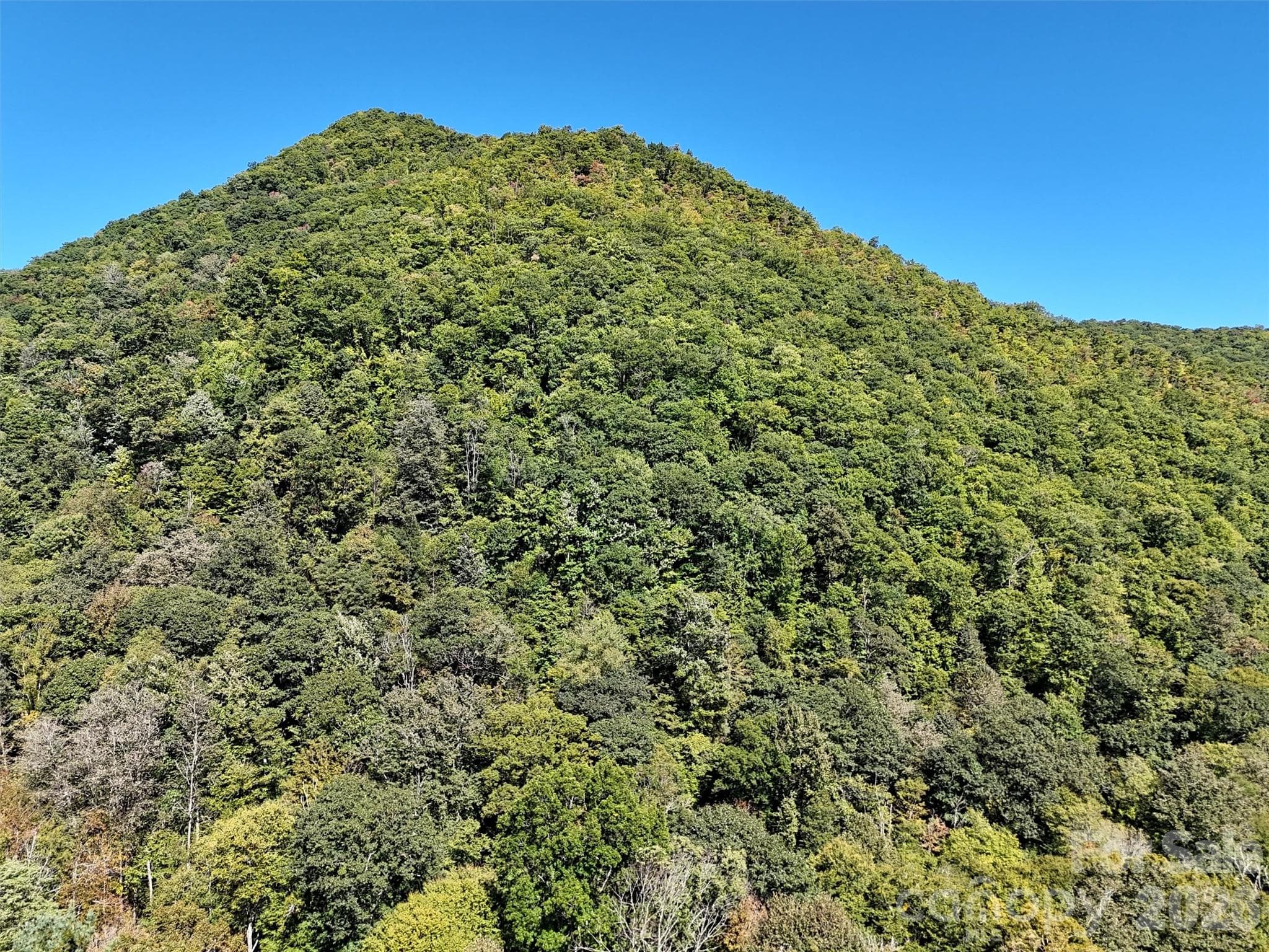 Lot at 00 Buckeye Haven Road, Maggie Valley, photo 10 of 14